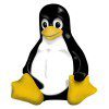 Linux Penguin Logo