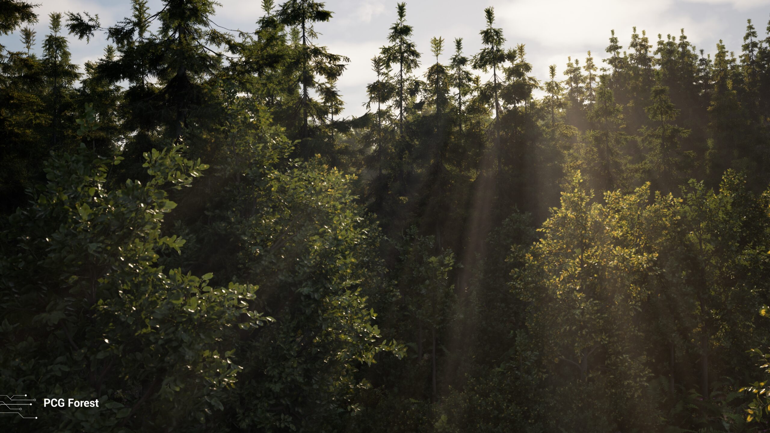 Puget Bench for Unreal Engine Example Render - PCG Forest